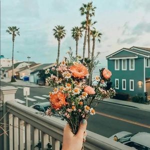 Meet your Posher, Addison